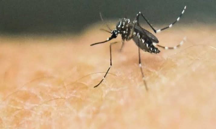 Impact of Climate Change on Malaria Transmission: A Growing Concern